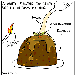 Acadmic xmas pudding