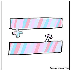 Women Are Equal