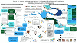 Behind the scenes: collaborative creation of the Biological Data Standards Primer Guide