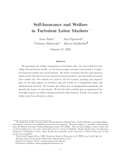 Self-Insurance and Welfare in Turbulent Labor Markets