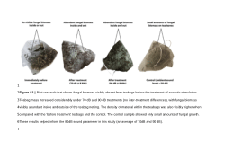 <b>Sonic restoration: Acoustic stimulation enhances plant growth-promoting fungi activity</b>
