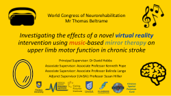 WNCR 2024 - Virtual Reality Stroke Rehab - Beltrame - Additional Information.pdf