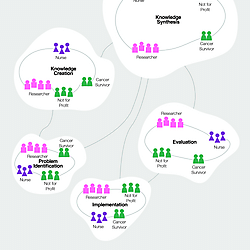 Case study 6 through the Knowledge Translation Complexity Network Model