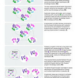 Case study through the Knowledge Translation Complexity Network Model