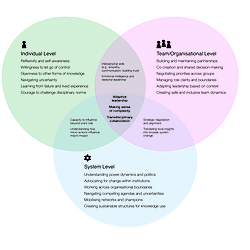 Leadership competencies for integrated knowledge translation across system levels