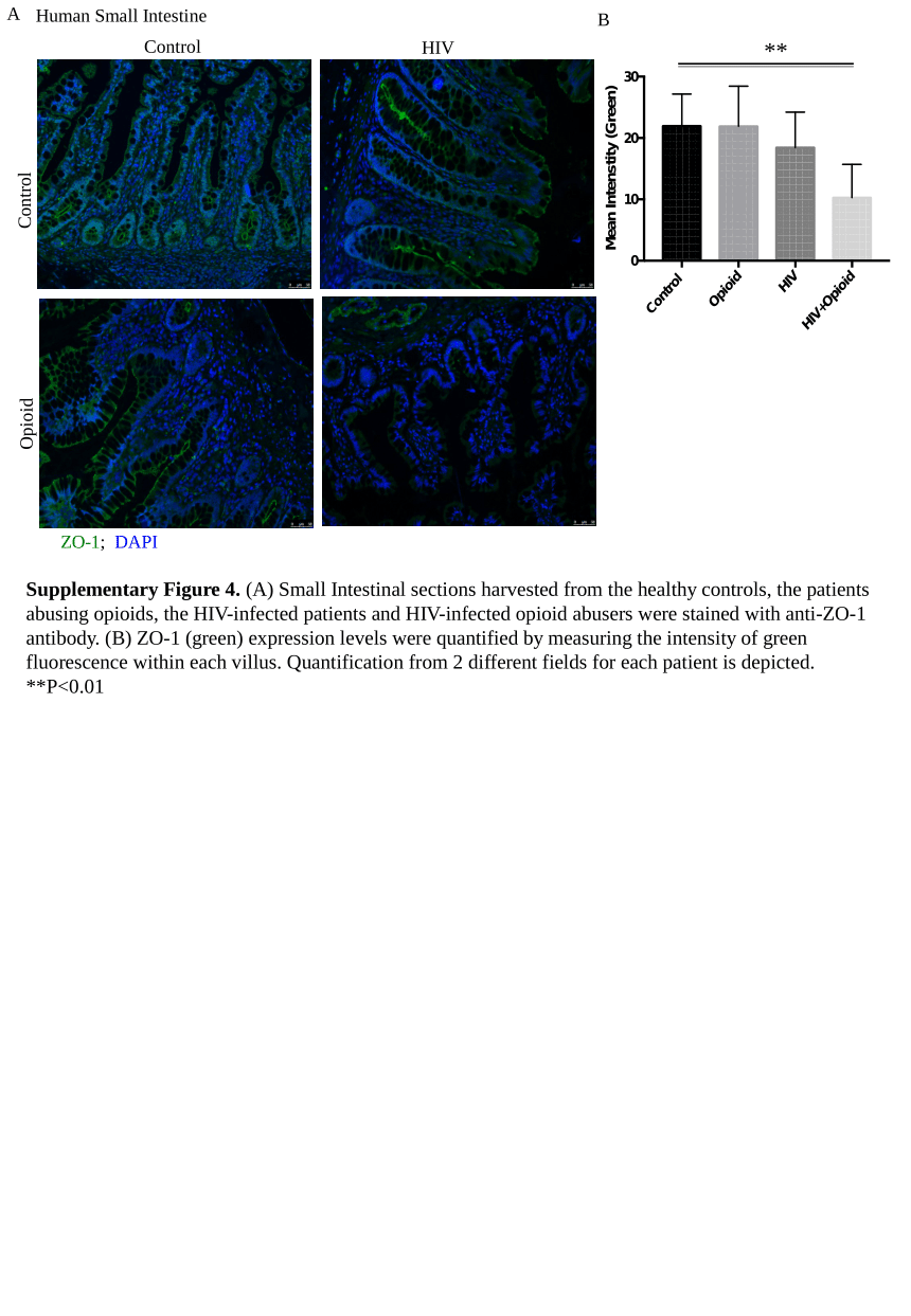 Presentation 4 Opioids Impair Intestinal Epithelial Repair In Hiv Infected Humanized Mice Pptx