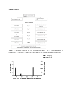 Table4_Preliminary insights on the metabolomics of Trichinella