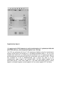 Data_Sheet_1_Production of Biopolyamide Precursors 5-Amino Valeric Acid and Putrescine From Rice Straw Hydrolysate by Engineered Corynebacterium glutamicum.docx