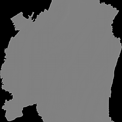 Supporting data for “Daily air temperature estimates at 30-meter resolution in the Chongqing Metropolitan Area, China, 2016–2024”
