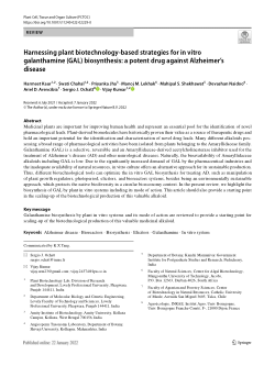 Harnessing plant biotechnology‑based strategies for in vitro  galanthamine (GAL) biosynthesis: a potent drug against Alzheimer’s  disease