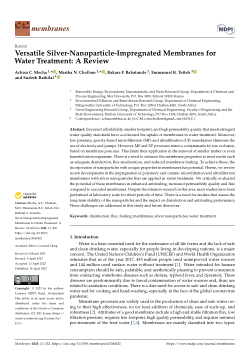 Versatile silver-nanoparticle-impregnated membranes for water treatment : a review