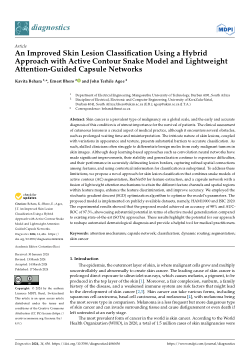 An Improved Skin Lesion Classification Using a Hybrid Approach with Active Contour Snake Model and Lightweight Attention-Guided Capsule Networks