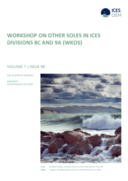 Item - Workshop on other soles in ICES Divisions 8c and 9a (WKOS) - International Council for ...