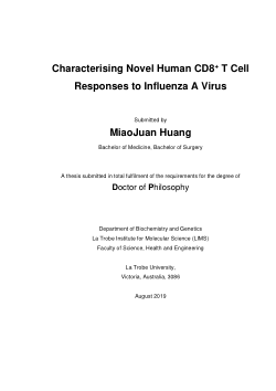 Characterising Novel Human CD8+ T Cell Responses to Influenza A Virus