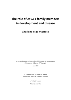 The role of ZYG11 family members in development and disease