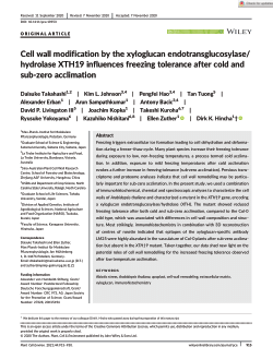 Cell wall modification by the xyloglucan endotransglucosylase/hydrolase XTH19 influences freezing tolerance after cold and sub-zero acclimation