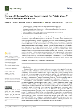 Genome Enhanced Marker Improvement for Potato Virus Y Disease Resistance in Potato