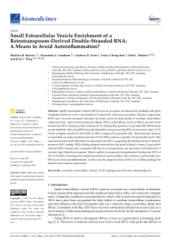 Small Extracellular Vesicle Enrichment of a Retrotransposon-Derived Double-Stranded RNA: A Means to Avoid Autoinflammation?
