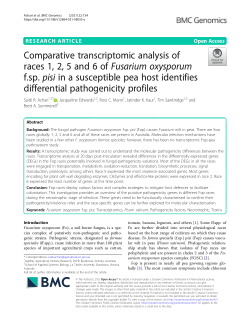 Comparative transcriptomic analysis of races 1, 2, 5 and 6 of Fusarium oxysporum f.sp. pisi in a susceptible pea host identifies differential pathogenicity profiles