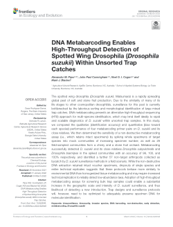 DNA Metabarcoding Enables High-Throughput Detection of Spotted Wing Drosophila (Drosophila suzukii) Within Unsorted Trap Catches