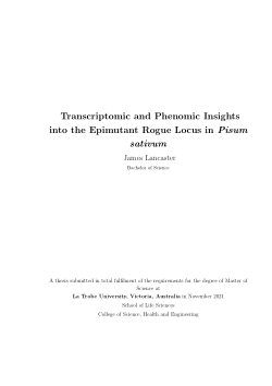 Transcriptomic and Phenomic Insights into the Epimutant Rogue Locus in Pisum sativum