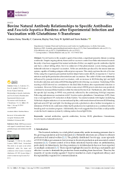 Item - Bovine Natural Antibody Relationships to Specific Antibodies and  Fasciola hepatica Burdens after Experimental Infection and Vaccination with Glutathione  S-Transferase - La Trobe - Figshare