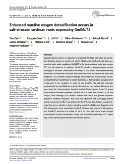 Enhanced reactive oxygen detoxification occurs in salt-stressed soybean roots expressing GmSALT3