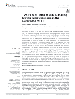 Two-Faced: Roles of JNK Signalling During Tumourigenesis in the Drosophila Model