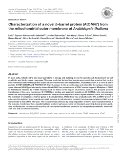 Characterization of a novel beta-barrel protein (AtOM47) from the mitochondrial outer membrane of Arabidopsis thaliana