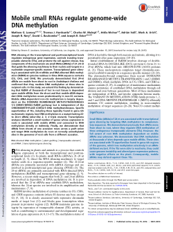 Mobile small RNAs regulate genome-wide DNA methylation