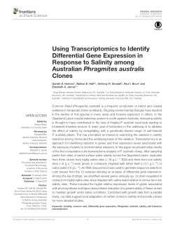Using transcriptomics to identify differential gene expression in response to salinity among Australian Phragmites australis clones