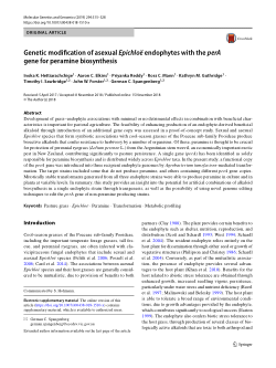 Genetic modification of asexual Epichloë endophytes with the perA gene for peramine biosynthesis