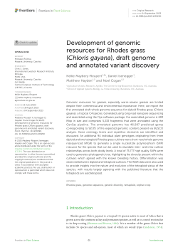 Development of genomic resources for Rhodes grass (Chloris gayana), draft genome and annotated variant discovery