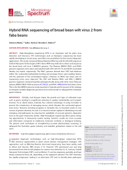 Hybrid RNA sequencing of broad bean wilt virus 2 from faba beans