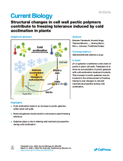 Structural changes in cell wall pectic polymers contribute to freezing tolerance induced by cold acclimation in plants