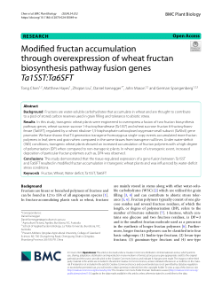 Modified fructan accumulation through overexpression of wheat fructan biosynthesis pathway fusion genes Ta1SST:Ta6SFT