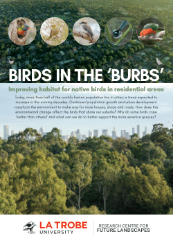Birds in the ‘burbs: Improving habitat for native birds in residential areas