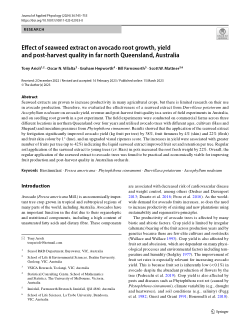 Effect of seaweed extract on avocado root growth, yield and post-harvest quality in far north Queensland, Australia