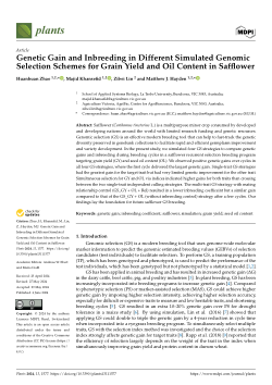 Genetic Gain and Inbreeding in Different Simulated Genomic Selection Schemes for Grain Yield and Oil Content in Safflower