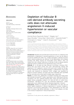 Depletion of follicular B cell-derived antibody secreting cells does not attenuate angiotensin II-induced hypertension or vascular compliance