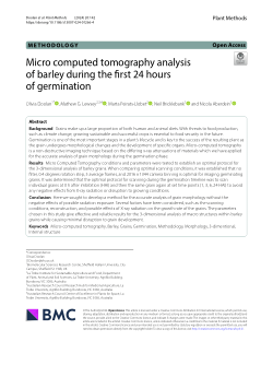 Micro computed tomography analysis of barley during the first 24 hours of germination