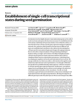 Establishment of single-cell transcriptional states during seed germination