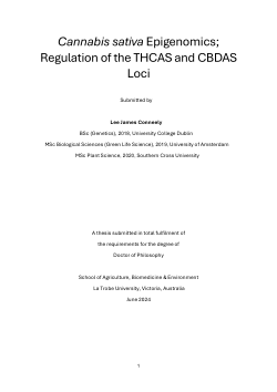 Cannabis sativa Epigenomics; Regulation of the THCAS and CBDAS Loci