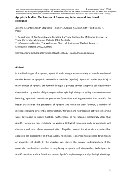 Apoptotic bodies: mechanism of formation, isolation and functional relevance