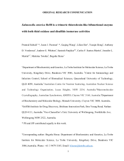 Salmonella enterica BcfH Is a Trimeric Thioredoxin-Like Bifunctional Enzyme with Both Thiol Oxidase and Disulfide Isomerase Activities