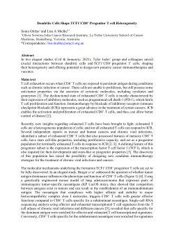 Dendritic cells shape TCF1+CD8+ progenitor T cell heterogeneity
