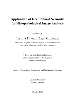 Application of Deep Neural Networks for Histopathological Image Analysis