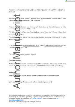 Pannexin-1 channel regulates nuclear content packaging into apoptotic bodies and their size