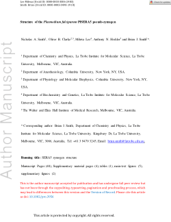 Structure of the Plasmodium falciparum PfSERA5 pseudo-zymogen