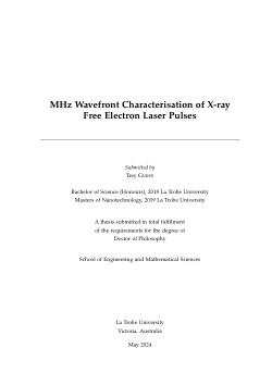 MHz Wavefront Characterisation of X-ray Free Electron Laser Pulses